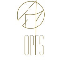 Opes Capital | MFO logo - Similar company to Opes Capital Nl