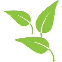 Little Leaves Behavioral Services logo - Similar company to Compass Behavioral Group