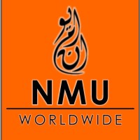 NMU Worldwide logo - Similar company to Pro Advisors