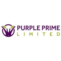 PURPLE PRIME LIMITED logo - Similar company to Richp0.05 Analytics Consults Ltd