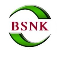 BSNK Info Solutions Pvt. Ltd. logo - Similar company to Fine Technologies