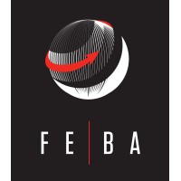 FEBA SYNERGY WORLD TRADING LLC logo - Similar company to Soluciones En Comercio Exterior