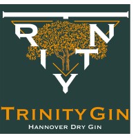 Trinity GmbH logo - Similar company to Corporate Finance Hannover GmbH