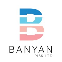 Banyan Risk Ltd. logo - Similar company to Agmd Group