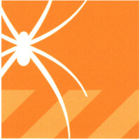 SPYDER DESIGN-BUILD logo - Similar company to Everbloom Homes Cic
