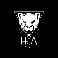 H3A Business Solutions Pvt Ltd logo - Similar company to Br Digitals