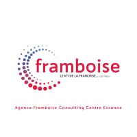Agence Framboise Consulting Centre Essonne 🍇 - 𝑁𝑒́𝑂 𝑐𝑜𝑛𝑠𝑢𝑙𝑡𝑖𝑛𝑔 logo - Similar company to Converge2Digital