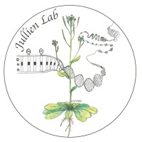 JullienEpiLab logo - Similar company to Couperin.Org