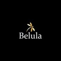 Belula Care logo - Similar company to Sa-Ipark (Pty) Ltd