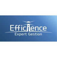 EFFICIENCE EXPERT GESTION logo - Similar company to Pan African Solutions & Services