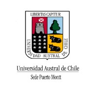 Educación Ejecutiva Uach