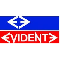 Curso Evidente logo - Similar company to Colégio Sophia