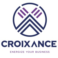 CROIXANCE logo - Similar company to Sergi Transformer Protector