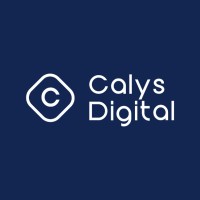 Calys Digital logo - Similar company to Nk Analytics