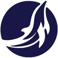 Autonomous Underwater Vehicle - Delhi Technological University (DTU-AUV) logo - Similar company to Uas-Dtu