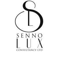 Senno Lux Consultancy Limited logo - Similar company to Jmpr Digital