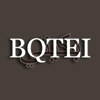 bqtei logo - Similar company to Cyberpro Solutions