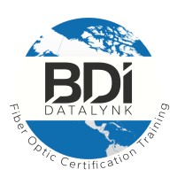 BDI DataLynk logo - Similar company to Mindsof Initiative