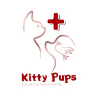 Kitty Pups