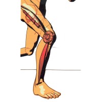 RVC Orthotic Lab logo - Similar company to Ceam
