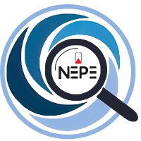 Nepe - Núcleo De Ensino, Pesquisa E Extensão Em Economia