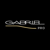 Gabriel PRO logo - Similar company to Flyup Web