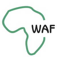 Wellness Africa Foundation logo - Similar company to Light Up Lagos