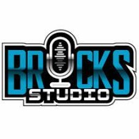 Bricks Studio logo - Similar company to Space Wings