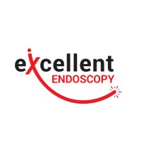 Excellent Endoscopy logo - Similar company to Kehoe Electronics