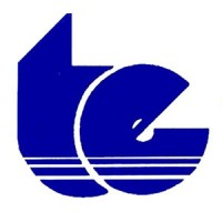 Tecnoedile srl logo - Similar company to Buildtech S.R.L.