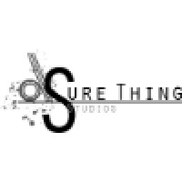 Sure Thing Studios logo - Similar company to Tom Robinson Studios