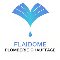 Flaidome logo - Similar company to Car Sol