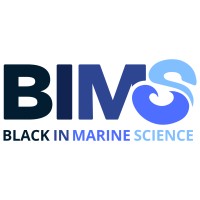 BIMS logo - Similar company to Workscene.Com
