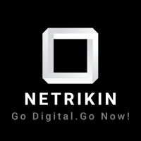 NETRIKIN DIGITAL SOLUTIONS logo - Similar company to Jabtech