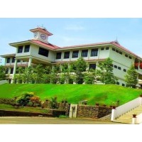 Viswajyothi College of Engineering & Technology logo - Similar company to Pineapplix