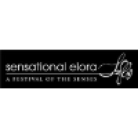 Sensational Elora