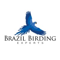 Brazil Birding Experts logo - Similar company to Southwild