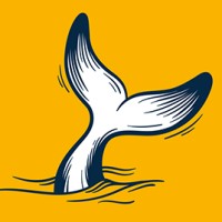 Vingt Mille Lieues logo - Similar company to B17 Communication