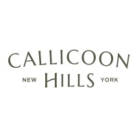 Callicoon Hills logo - Similar company to Eastwind Hotel