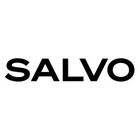 Salvo Property Group logo - Similar company to Tinytecture