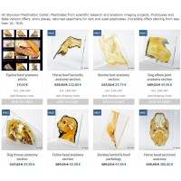 Plastination-shop.com logo - Similar company to 3D Anatomy Studios
