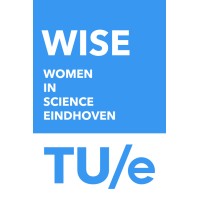 WISE network logo - Similar company to Wisenetwork Oy