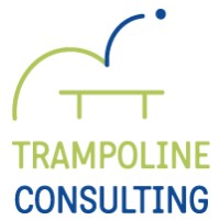 Trampoline Consulting sprl logo - Similar company to Essenc