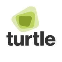 Turtle Venture Consultants logo - Similar company to Jack Tree Digital