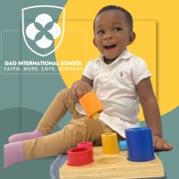 Dao International School logo - Similar company to Memoircraft