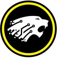 Cyberengine logo - Similar company to Cybergenie Solutions