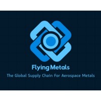 FLYING METALS logo - Similar company to Premier Care & Management Services