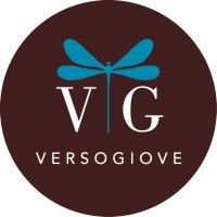 VERSOGIOVE logo - Similar company to Airdp