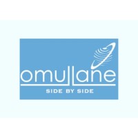 OMullane Management Solutions logo - Similar company to Omullane India
