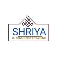 SHRIYA ARTIFICIAL AND ADVANCED ANALYTCIS PRIVATE LIMITED logo - Similar company to Opus Technology Solutions